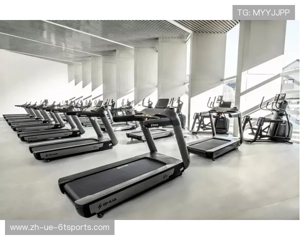 舒华健身器材价格详解及其在体育训练中的性价比分析